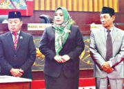 Penyesuaian Anggaran APBD 2025 Disambut Baik Wakil Ketua I DPRD Murung Raya