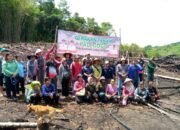 Gerakan Tanam Padi Gogo,Upaya Tingkatkan Produktivitas Pangan di Murung Raya